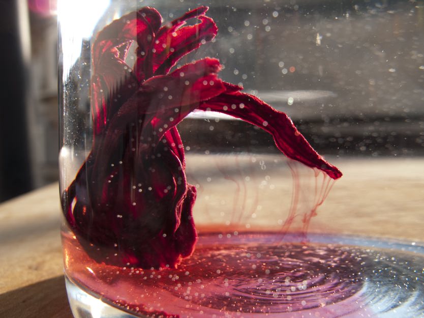 Roselle 